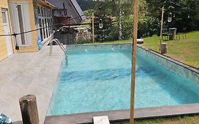 Cabana din Vale Arieseni Apuseni cu Piscina
